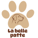 logo LaBellePatte toiletteur chien